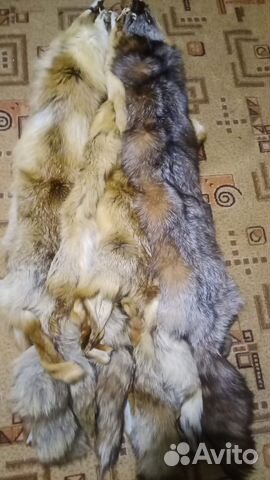 Шкурка животного