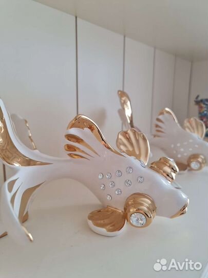 Золотые рыбки Ahura Италия