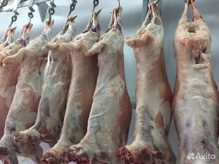 Мясо баранины