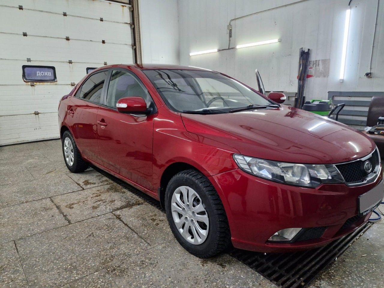 Kia Cerato: фото владельца
