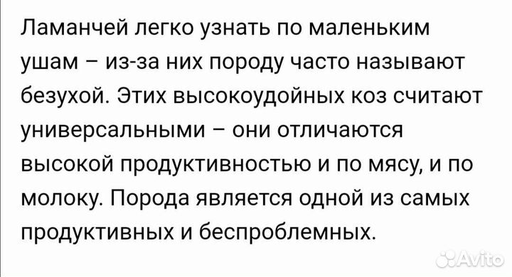 Коза