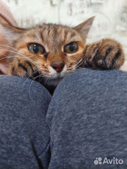 Марточка очень нуждается в семье