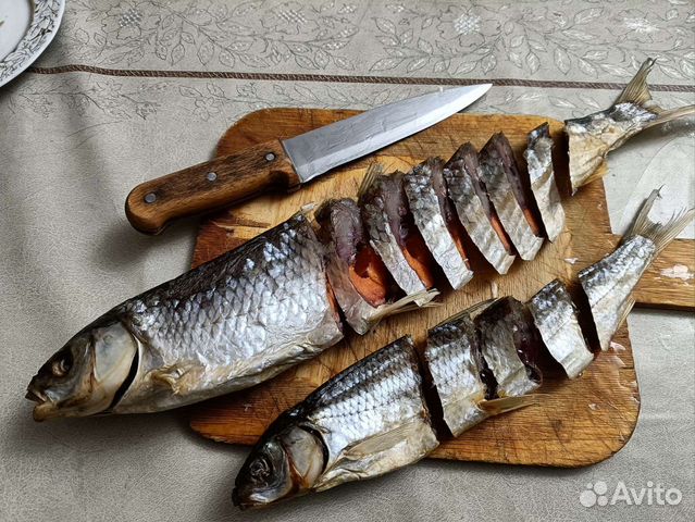 Рыба, Кутум купить в Магарамкенте | Товары для дома и дачи | Авито