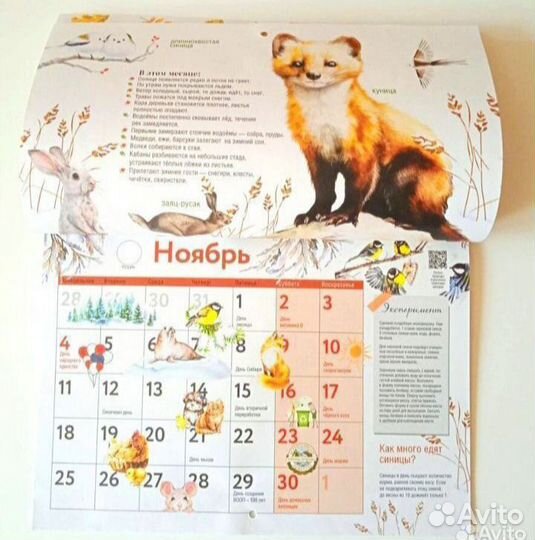 Календарь наблюдений за природой