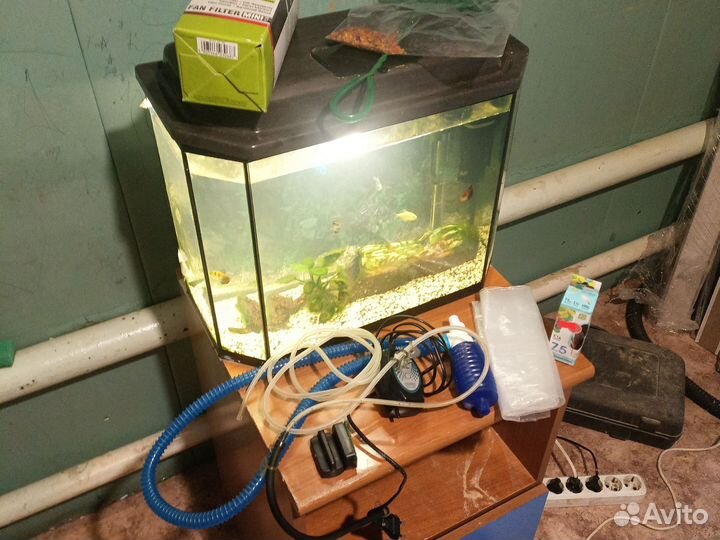 Аквариум