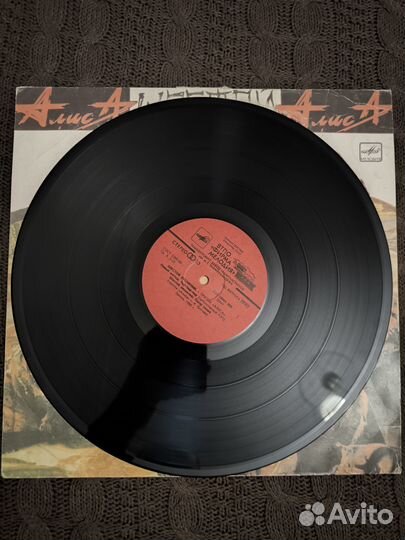 Алиса - Шестой лесничий