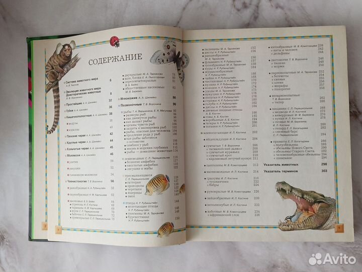 Большая энциклопедия животного мира