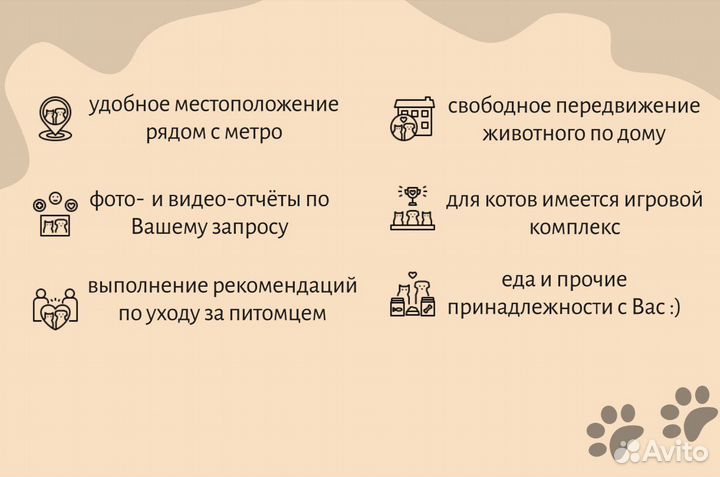 Передержка домашних животных