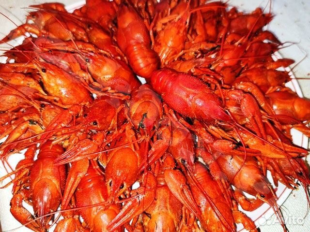 Живые, вареные раки с доставкой