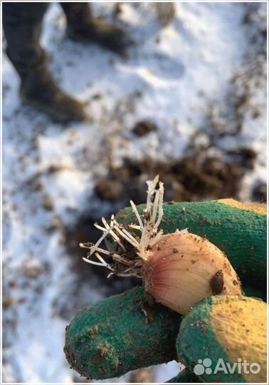 Ищу инвестора для развития бизнеса