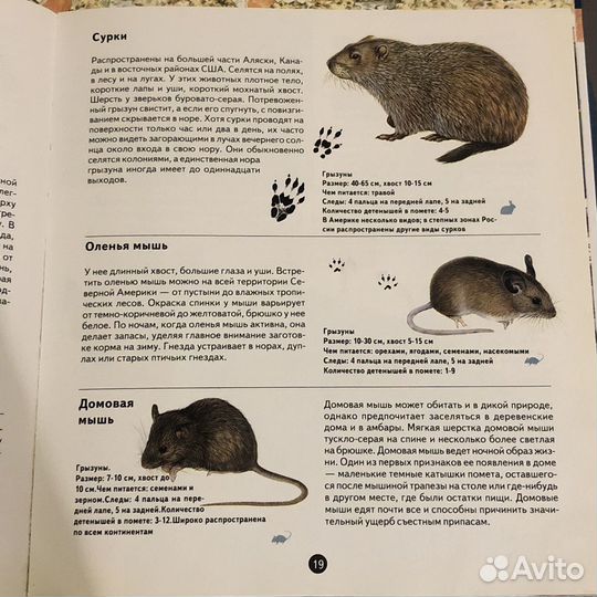 Книга о «Млекопитающих»