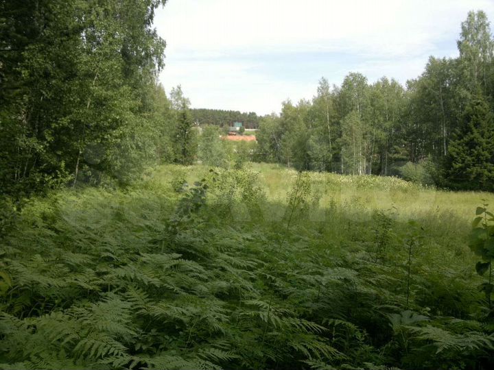 Участок 50 сот. (СНТ, ДНП)