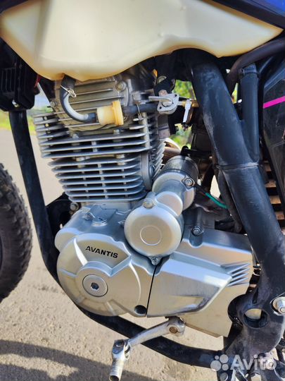 Avantis FX 250 LUX
