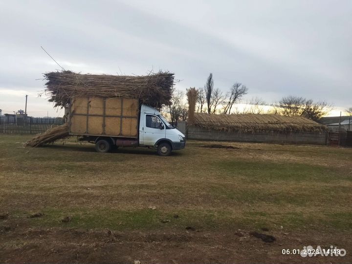 Камыш доставка есть