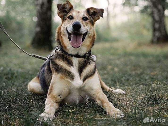 Патрика никто не замечает