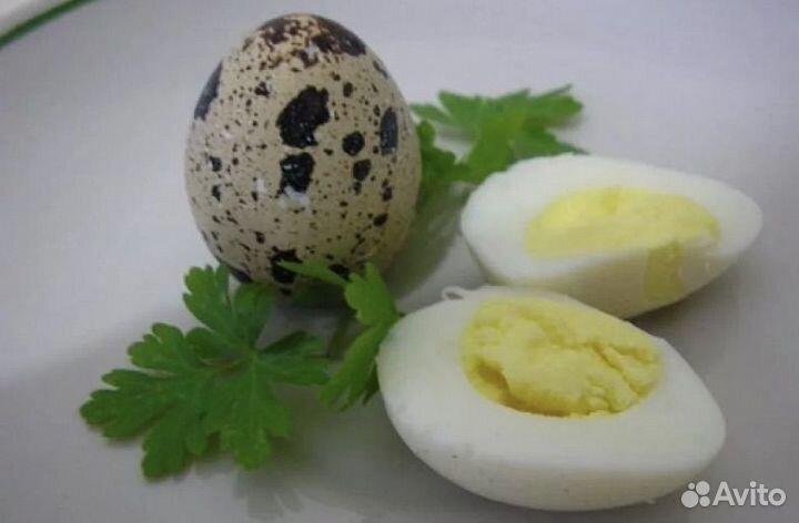 Яйца перепелиные, куриное, копченое,мясо перепела