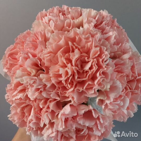 Букет цветов Диантус Доставка букетов