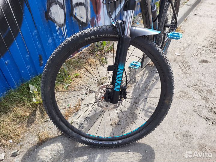 Cube Analog RS29 29” (L) 2021