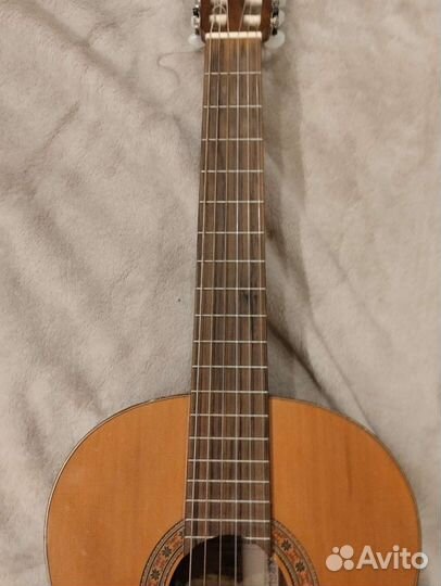 Классическая испанская гитара