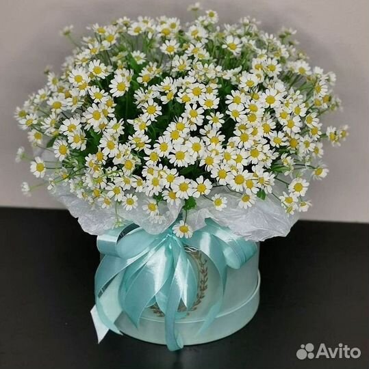 Букеты ромашек