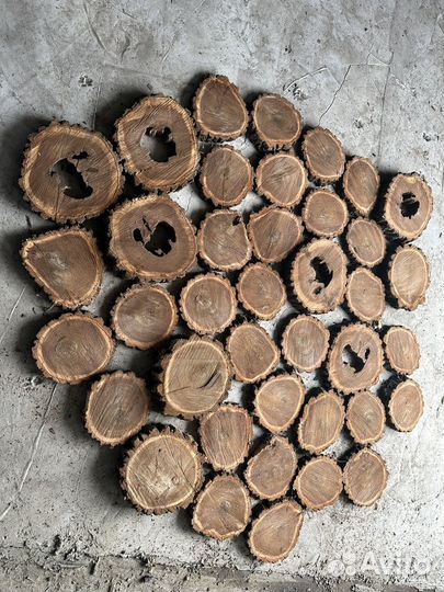 Спилы дерева