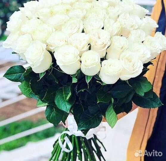 Метровые розы Доставка цветов