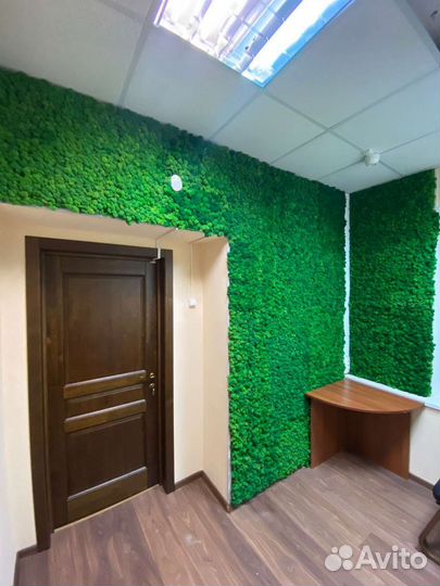 Стабилизированный мох