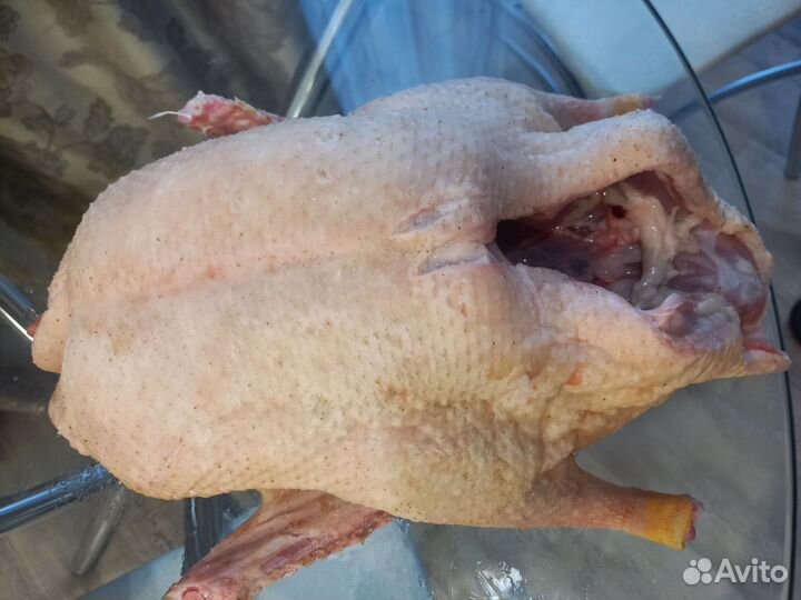 Мясо Утки, домашние бройлеры, индюки, гуси