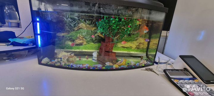 Аквариум