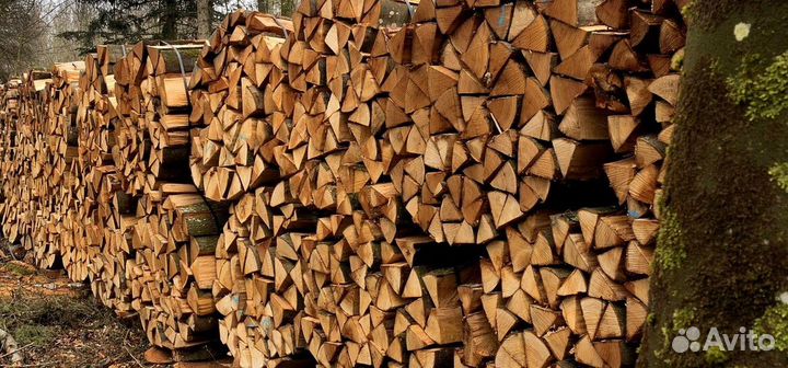 Дрова супер качества