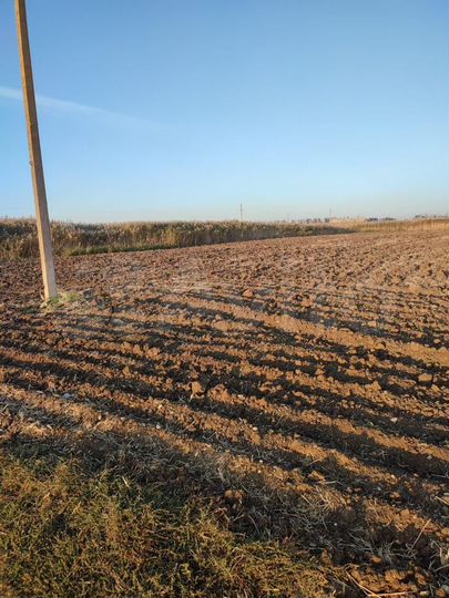 Участок 30 сот. (ИЖС)