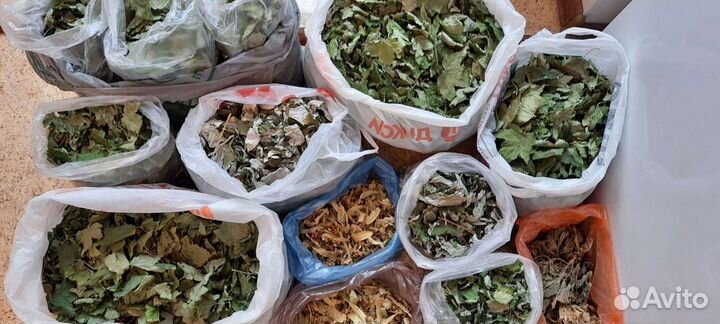 Свежие/сушеные листья 2023г. смородины/ земляники