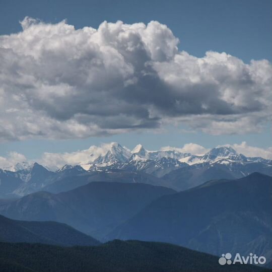 Услуга: Аренда джипа с водителем