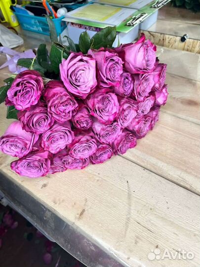 25 роз букет из роз Эквадор доставка