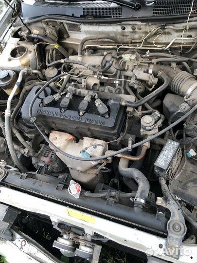 Nissan primera p11 на разбор