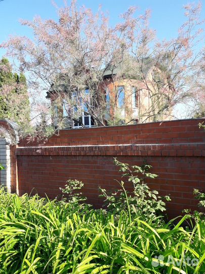 Райский уголок в центре города Саратов