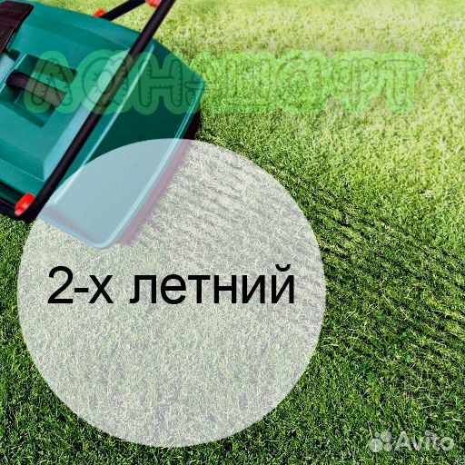 Парковый рулонный газон Павловский посад