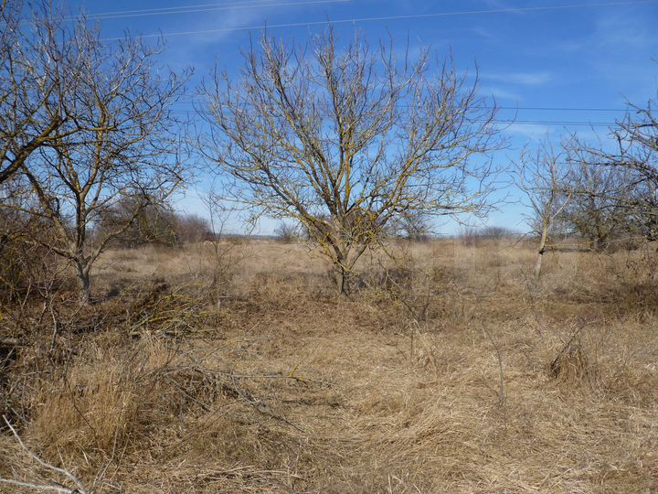 Участок 38 сот. (ИЖС)