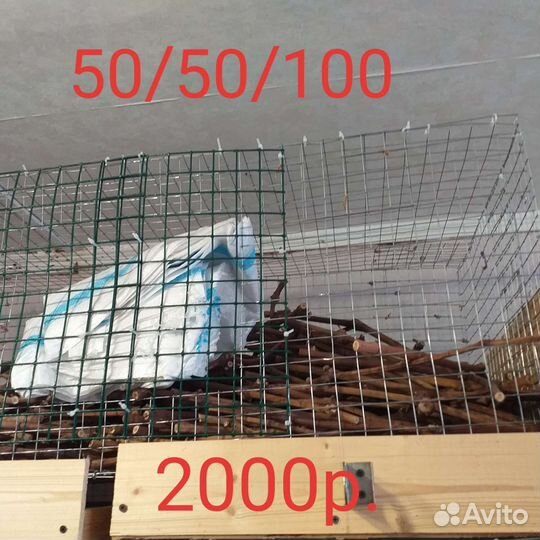 Клетки маленькие.клетки большие с потдонам