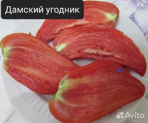 Помидор томаты 