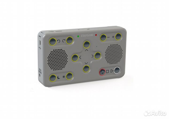 Тифлофлешплеер ElecGeste dtbp-301