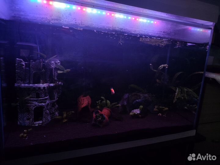 Аквариум 110л