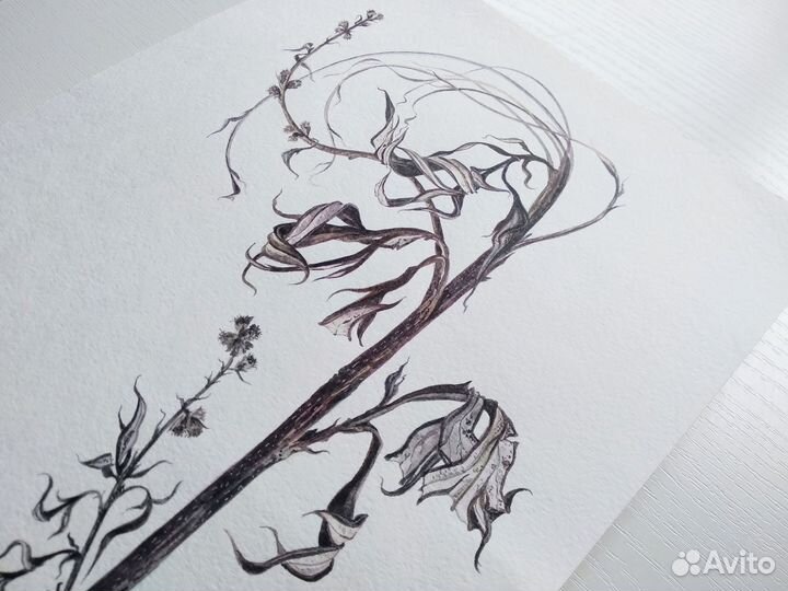 Акварельные картины