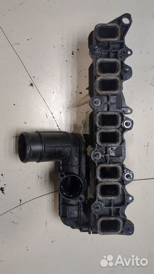 Коллектор впускной Ford Transit, 2008