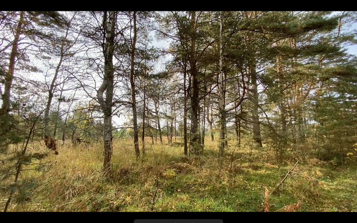 Участок 1,2 га (СНТ, ДНП)