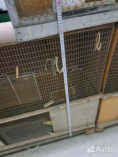 Клетки для птиц