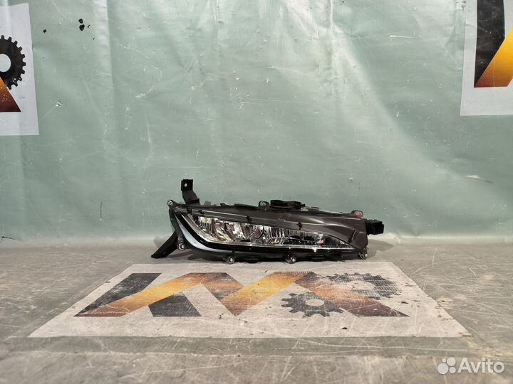 Lexus RX 19- Противотуманка Правая новая 31002