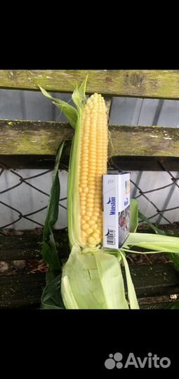 Продукты питания оптом