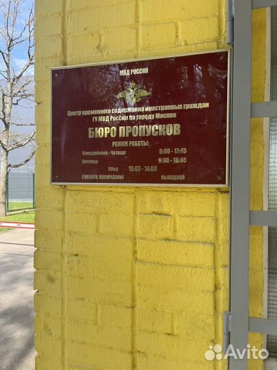 Снятие запрета на въезд в РФ