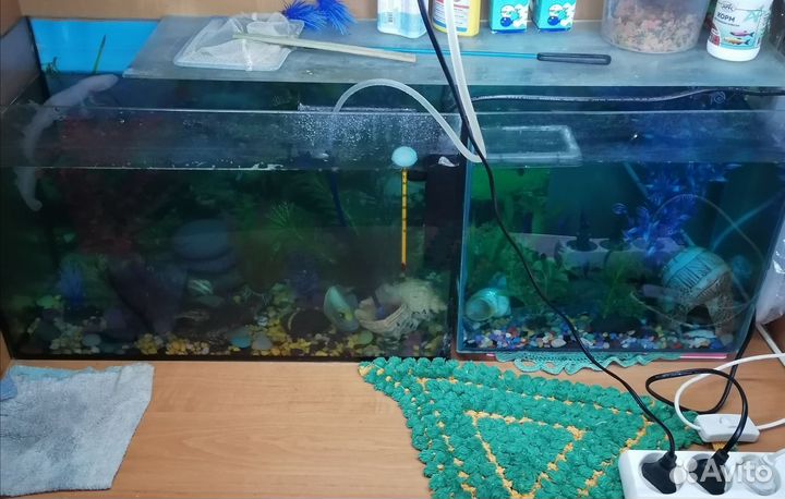 Аквариум
